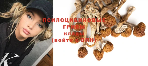 гашик Арсеньев
