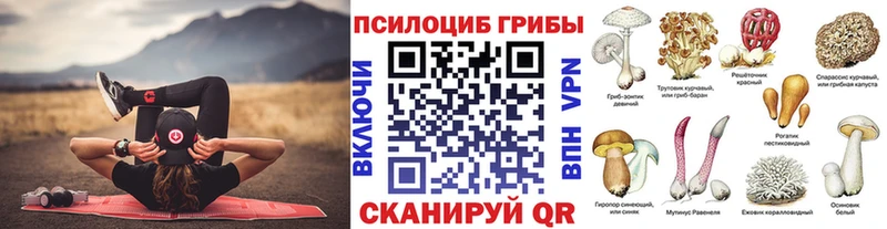 закладки  Фокино  omg зеркало  Галлюциногенные грибы Magic Shrooms 
